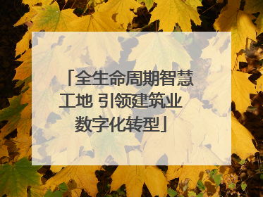 全生命周期智慧工地 引领建筑业数字化转型