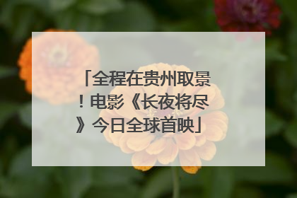 全程在贵州取景！电影《长夜将尽》今日全球首映