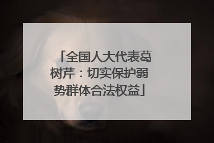 全国人大代表葛树芹：切实保护弱势群体合法权益