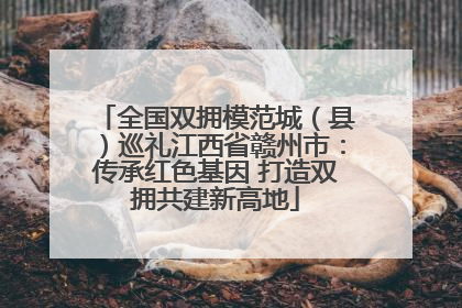 全国双拥模范城（县）巡礼江西省赣州市：传承红色基因 打造双拥共建新高地