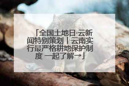 全国土地日·云新闻特别策划丨云南实行最严格耕地保护制度 一起了解→