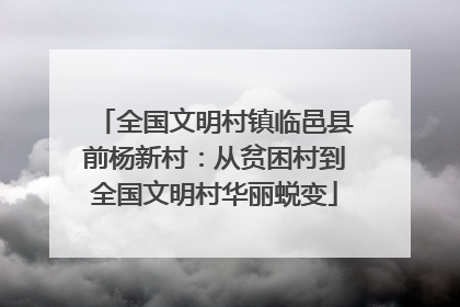 全国文明村镇临邑县前杨新村：从贫困村到全国文明村华丽蜕变