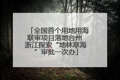 全国首个用地用海联审项目落地台州 浙江探索“地林草海”审批一次办