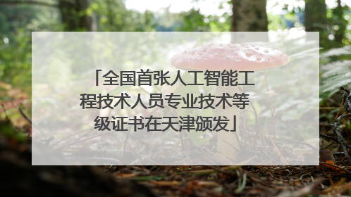 全国首张人工智能工程技术人员专业技术等级证书在天津颁发