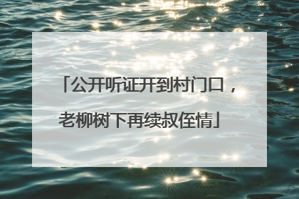 公开听证开到村门口，老柳树下再续叔侄情