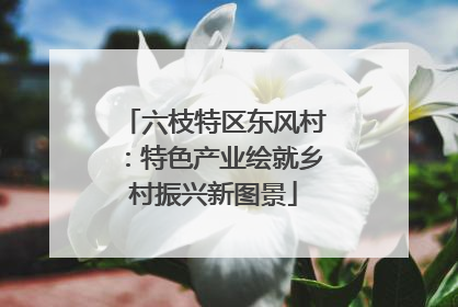 六枝特区东风村：特色产业绘就乡村振兴新图景
