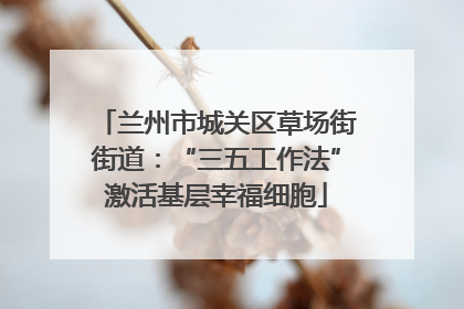 兰州市城关区草场街街道：“三五工作法”激活基层幸福细胞