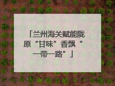 兰州海关赋能陇原“甘味”香飘“一带一路”