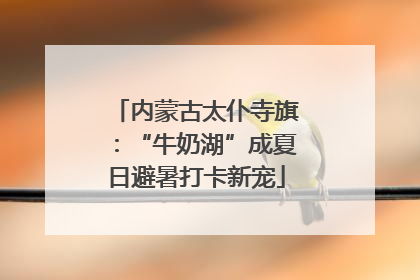 内蒙古太仆寺旗：“牛奶湖”成夏日避暑打卡新宠