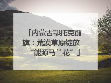 内蒙古鄂托克前旗：荒漠草原绽放“能源马兰花”