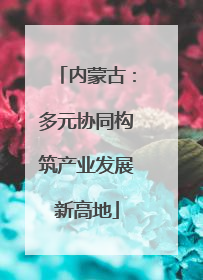 内蒙古：多元协同构筑产业发展新高地