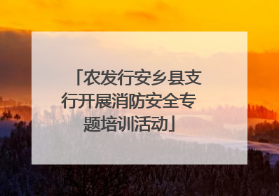 农发行安乡县支行开展消防安全专题培训活动