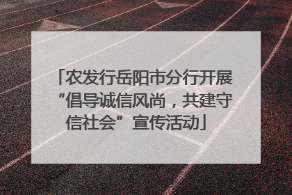 农发行岳阳市分行开展“倡导诚信风尚，共建守信社会”宣传活动