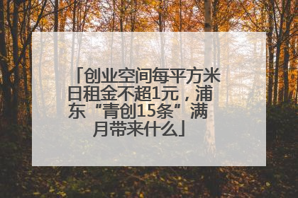 创业空间每平方米日租金不超1元，浦东“青创15条”满月带来什么