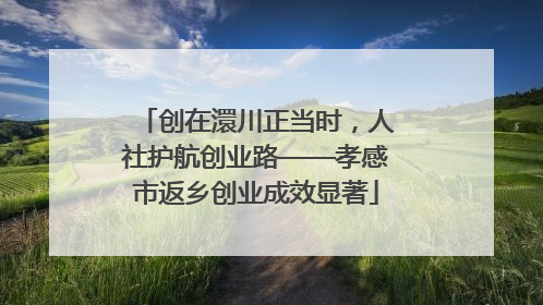 创在澴川正当时，人社护航创业路——孝感市返乡创业成效显著