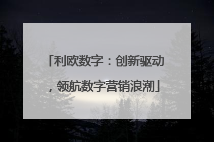 利欧数字：创新驱动，领航数字营销浪潮
