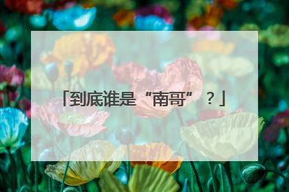 到底谁是“南哥”?