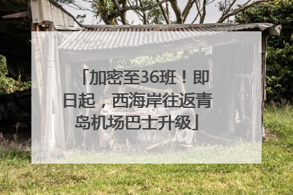 加密至36班！即日起，西海岸往返青岛机场巴士升级