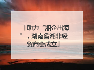助力“湘企出海”,湖南省湘非经贸商会成立