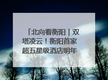 北向看衡阳｜双塔凌云！衡阳首家超五星级酒店明年6月开业