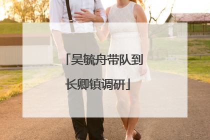吴毓舟带队到长卿镇调研