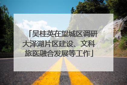 吴桂英在望城区调研大泽湖片区建设、文科旅医融合发展等工作
