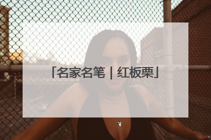 名家名笔｜红板栗