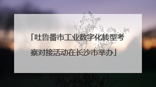 吐鲁番市工业数字化转型考察对接活动在长沙市举办