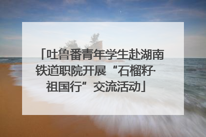 吐鲁番青年学生赴湖南铁道职院开展“石榴籽·祖国行”交流活动