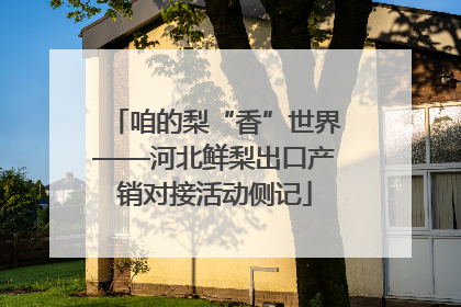 咱的梨“香”世界——河北鲜梨出口产销对接活动侧记