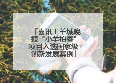 喜讯！羊城晚报“小羊拍客”项目入选国家级创新发展案例
