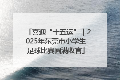 喜迎“十五运”｜2025年东莞市小学生足球比赛圆满收官