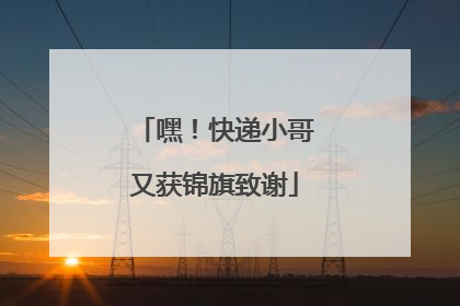 嘿！快递小哥又获锦旗致谢