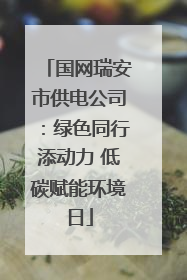 国网瑞安市供电公司：绿色同行添动力 低碳赋能环境日
