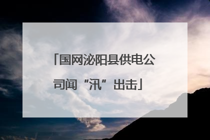 国网泌阳县供电公司闻“汛”出击