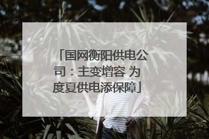 国网衡阳供电公司：主变增容 为度夏供电添保障