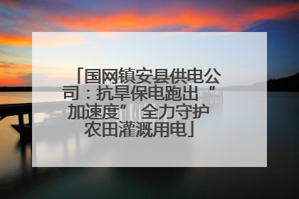 国网镇安县供电公司：抗旱保电跑出“加速度” 全力守护农田灌溉用电