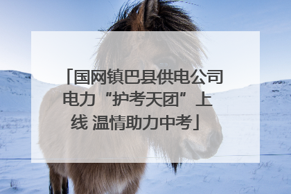 国网镇巴县供电公司 电力“护考天团”上线 温情助力中考