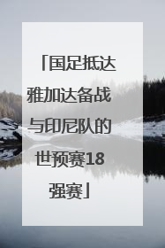 国足抵达雅加达备战与印尼队的世预赛18强赛