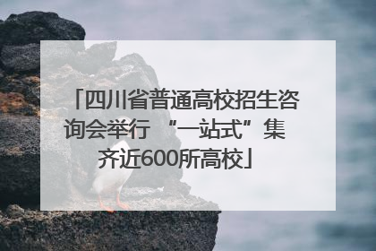 四川省普通高校招生咨询会举行 “一站式”集齐近600所高校