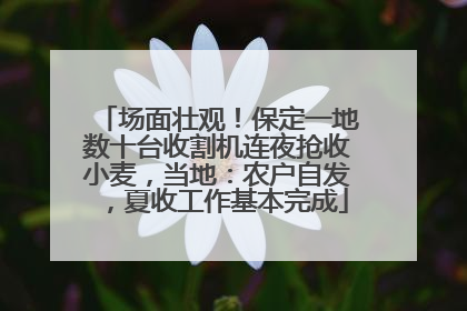 场面壮观！保定一地数十台收割机连夜抢收小麦，当地：农户自发，夏收工作基本完成