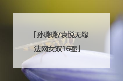 孙璐璐/袁悦无缘法网女双16强