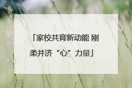 家校共育新动能 刚柔并济“心”力量