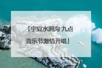宁夏水洞沟 九点音乐节激情开唱