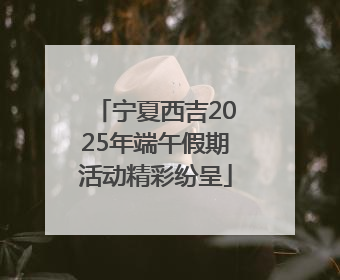 宁夏西吉2025年端午假期活动精彩纷呈