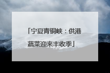 宁夏青铜峡：供港蔬菜迎来丰收季