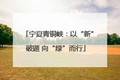 宁夏青铜峡：以“新”破题 向“绿”而行