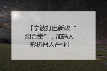 宁波打出新政“组合拳”，加码人形机器人产业
