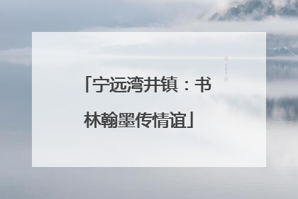 宁远湾井镇：书林翰墨传情谊