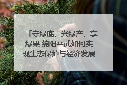 守绿底、兴绿产、享绿果 绵阳平武如何实现生态保护与经济发展双赢？｜新闻发布最前线·深一度